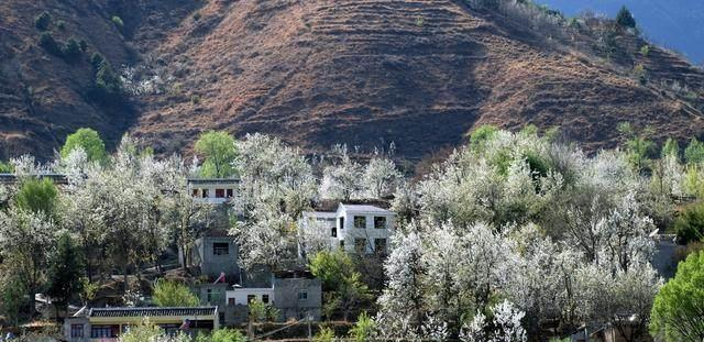 远离城市的喧嚣，这个小众旅行地质朴而惊艳，走背上背包去甘南