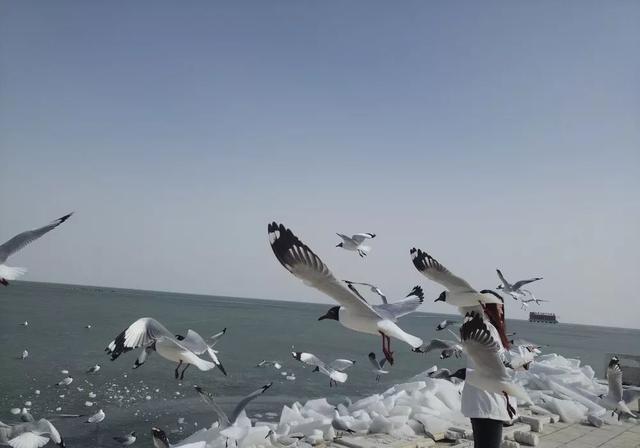震撼!2019青海湖现开湖奇观 ,“文武双开”难得一见!