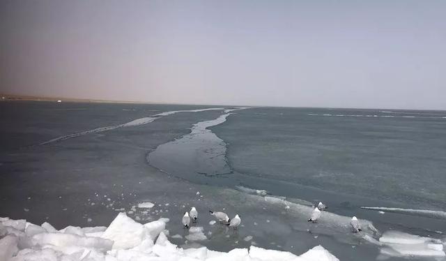 震撼!2019青海湖现开湖奇观 ,“文武双开”难得一见!