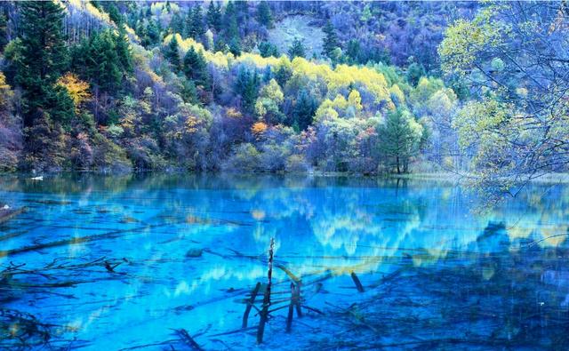 水景之王九寨沟,超有价值的旅行攻略,一生一定要去一次