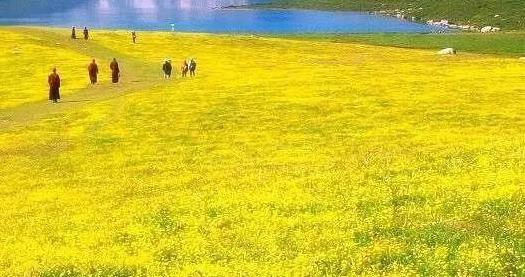 去青海旅游攻略指南，不可错过的景点有哪些?