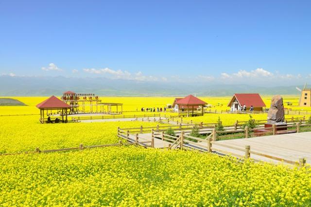 青海旅游攻略大全(必玩景点+小吃+住宿+交通)