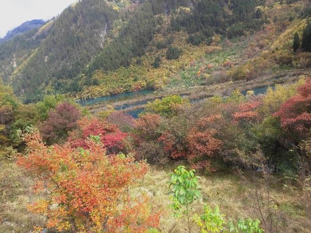 九寨沟旅游