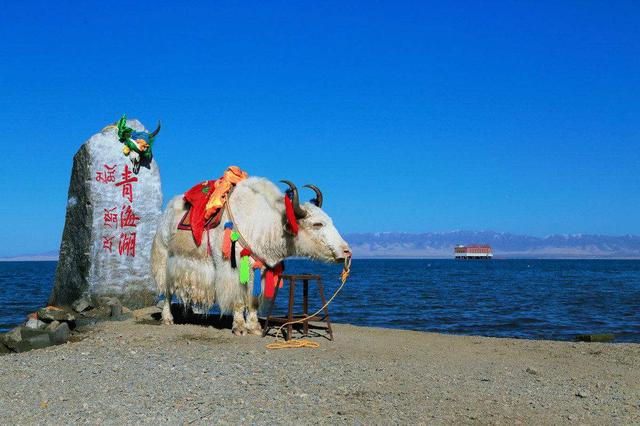 旅游胜地,你不得不去:青海湖,中国最大的咸水湖