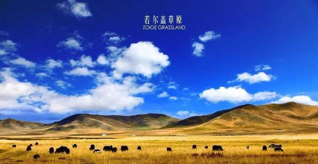 当甘南遇上九寨沟